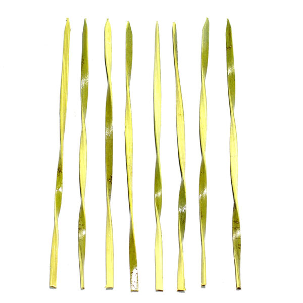 Compostable Green Bamboo Twisted Food Pick