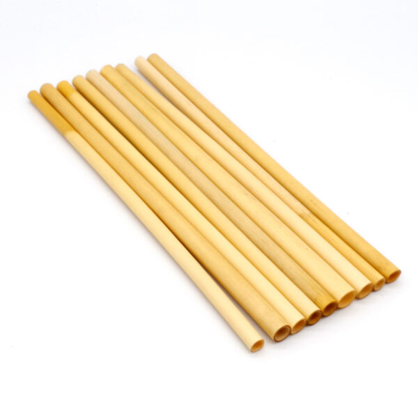 Compostable Jumbo Reed Straw