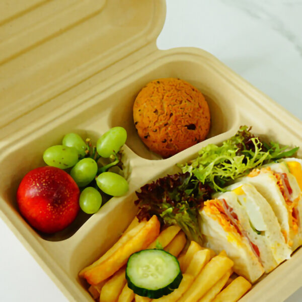 Natural Bagasse Blend 3 Compartment Take-Out Container