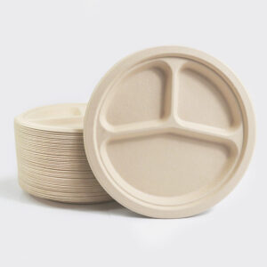 Natural Sugarcane Bagasse 9in Plate 3 Compartment