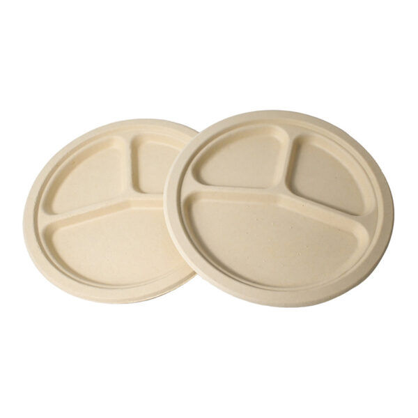 Natural Sugarcane Bagasse 9in Plate 3 Compartment