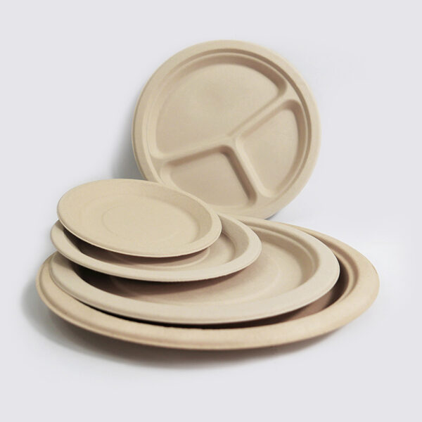 Natural Sugarcane Bagasse 9in Plate 3 Compartment