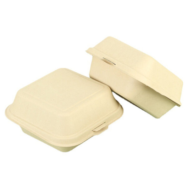 Natural bagasse box 6 In