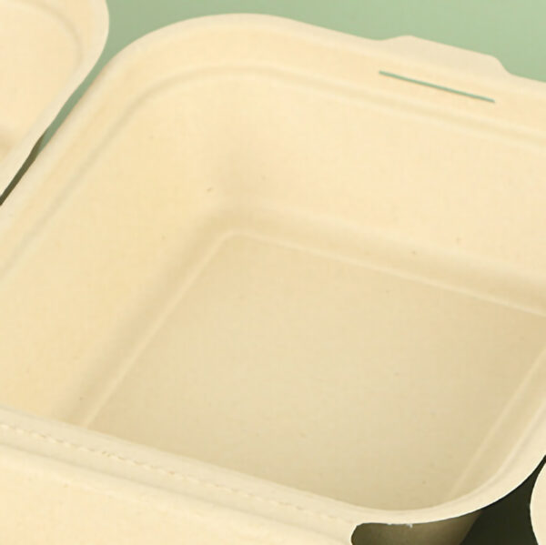 Natural bagasse box 6 In