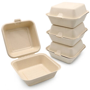 Natural bagasse box 6 In