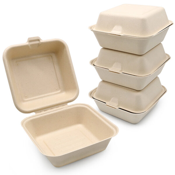 Natural bagasse box 6 In